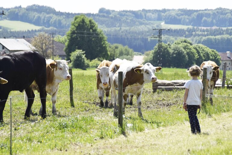 Ferienhof Forstmoar