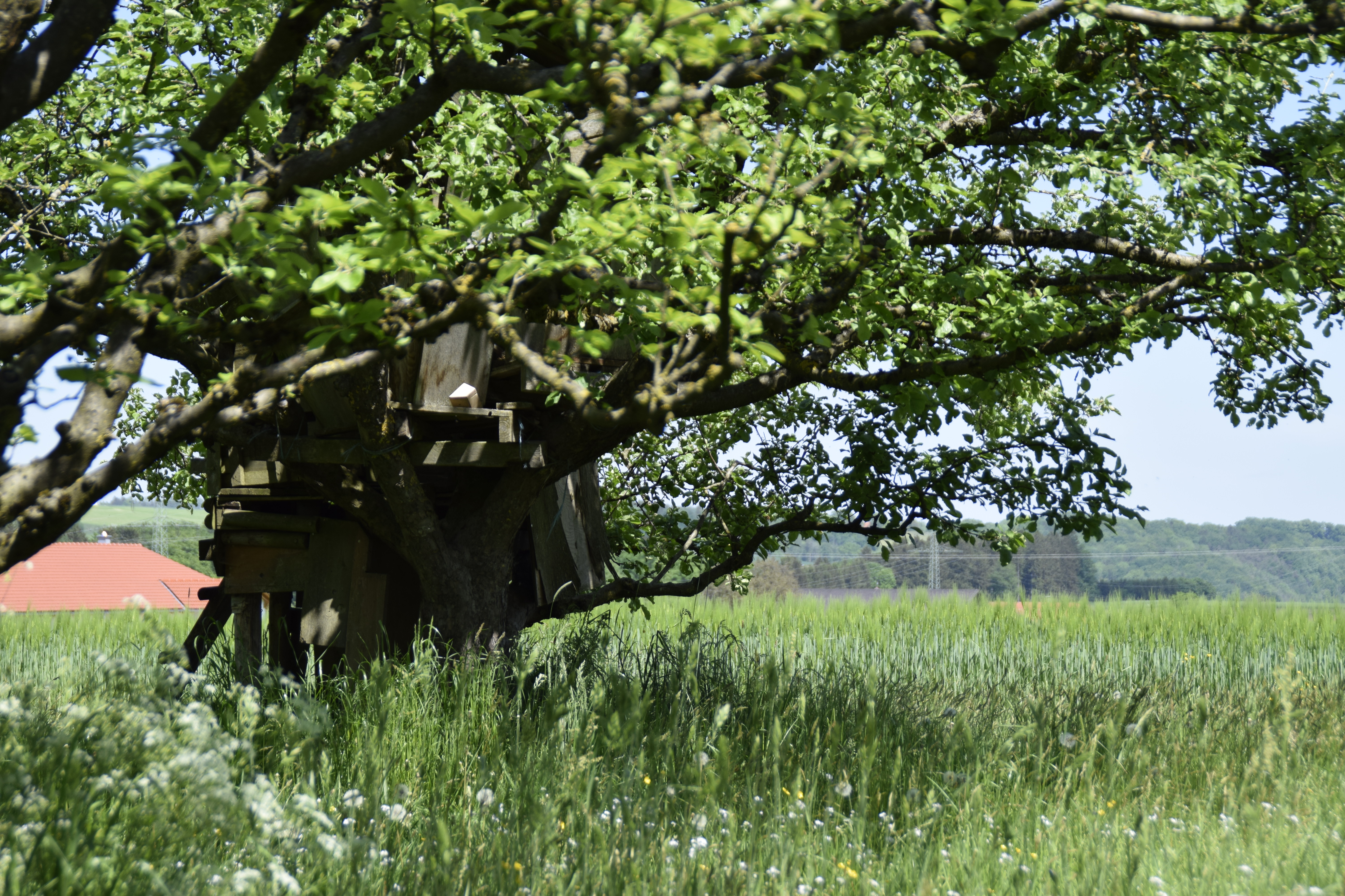 Impressionen
